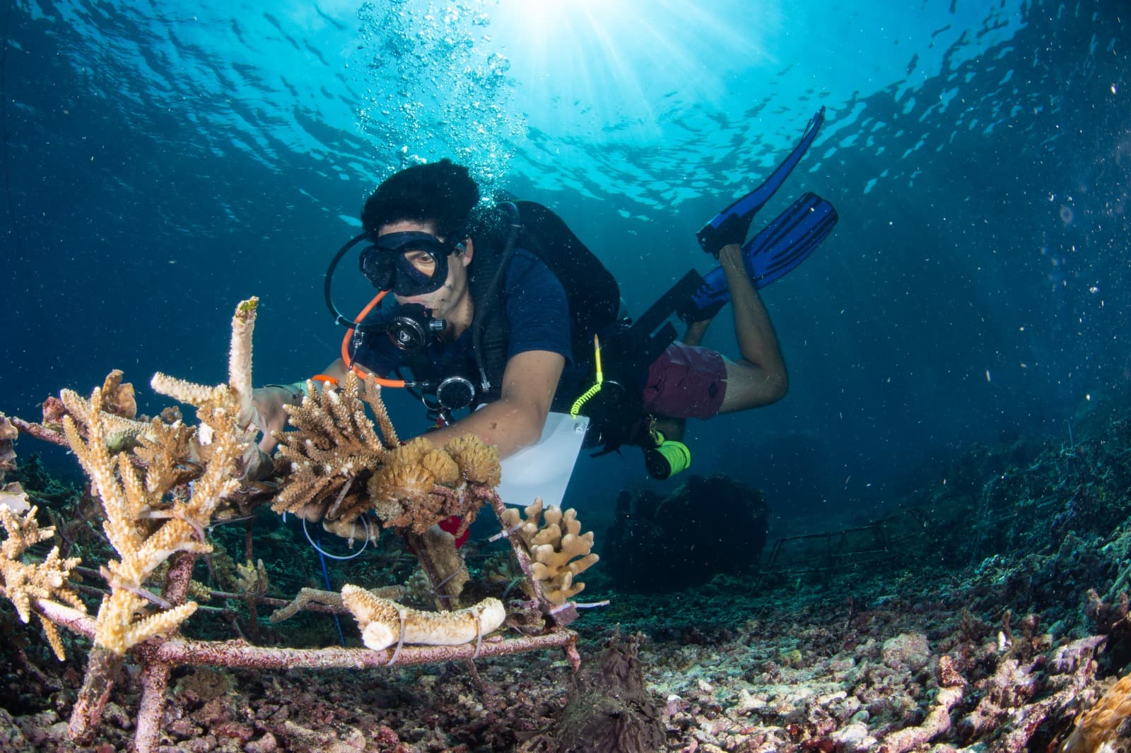 Community eco activity in Nusa Penida