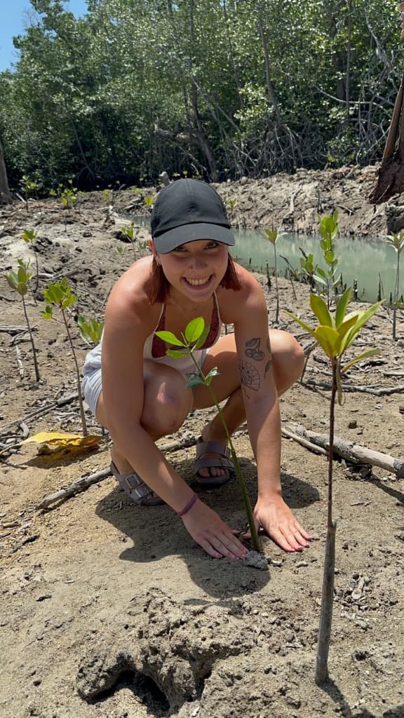 Mangrove planting eco activity in Nusa Penida