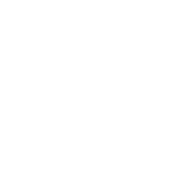 The Penida Project