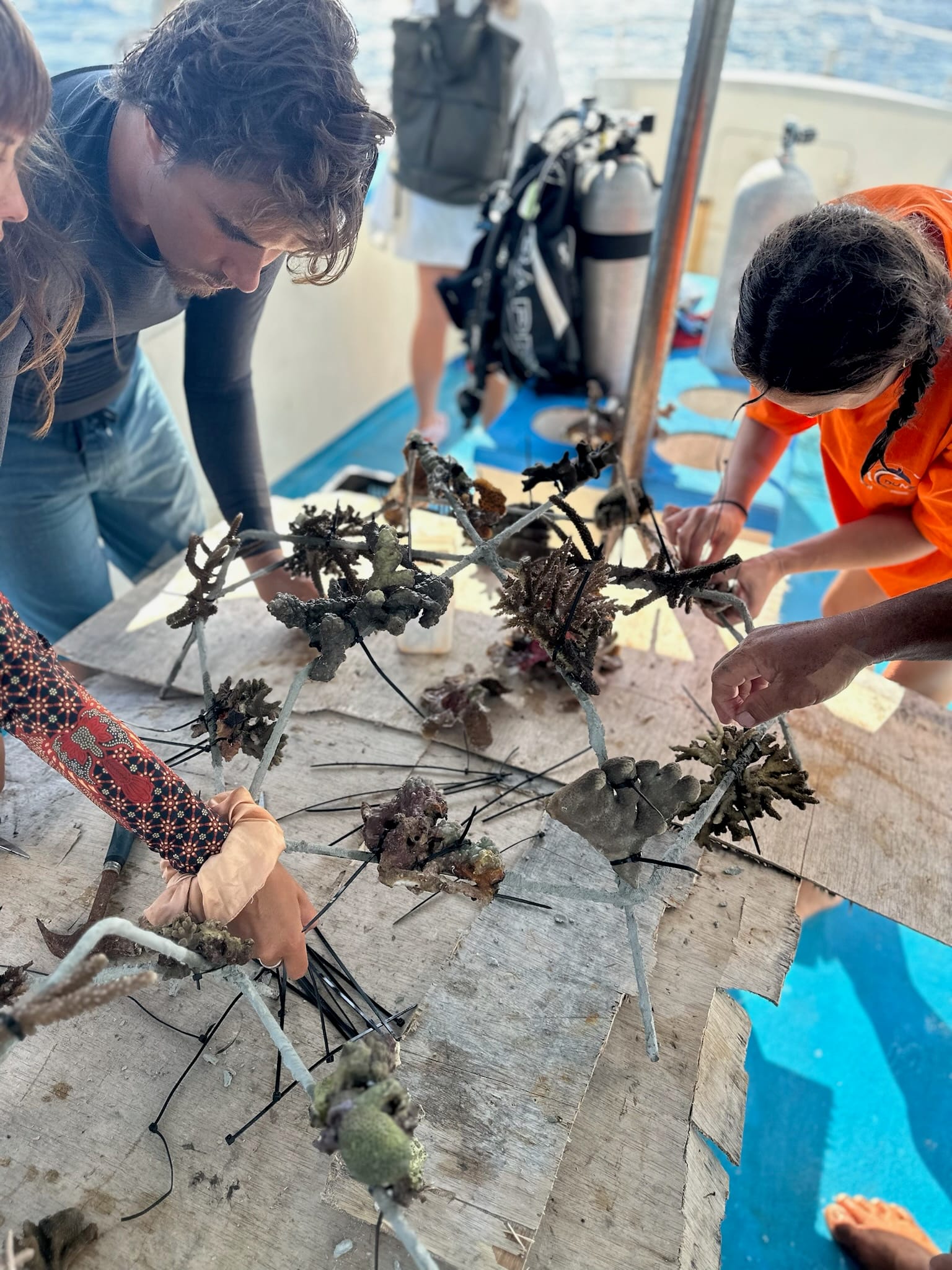 Coral Restoration in Nusa Penida - Snorkel through vibrant coral gardens and join eco-tourism initiatives to protect Nusa Penida's reefs.